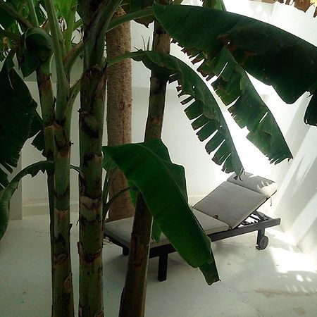 فندق Casa Branca منديلو المظهر الخارجي الصورة